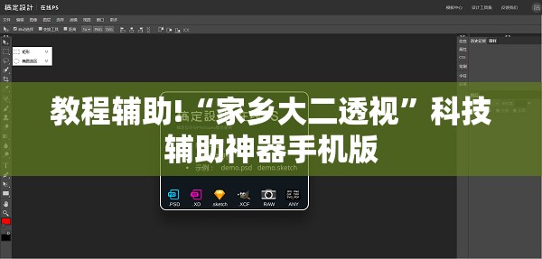 教程辅助!“家乡大二透视	”科技辅助神器手机版