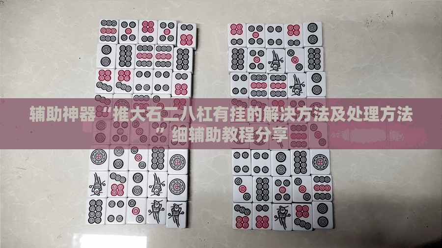 辅助神器“推大石二八杠有挂的解决方法及处理方法”细辅助教程分享