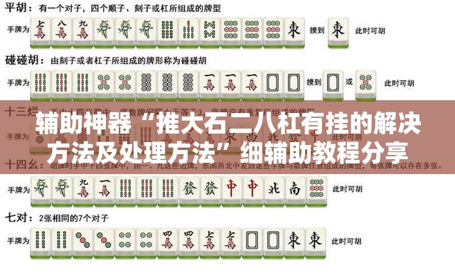 辅助神器“推大石二八杠有挂的解决方法及处理方法”细辅助教程分享
