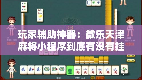 玩家辅助神器：微乐天津麻将小程序到底有没有挂”详细外挂透视辅助软件教程