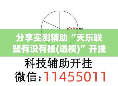 分享实测辅助“天乐联盟有没有挂(透视)”开挂辅助脚本+详细开挂安装教程