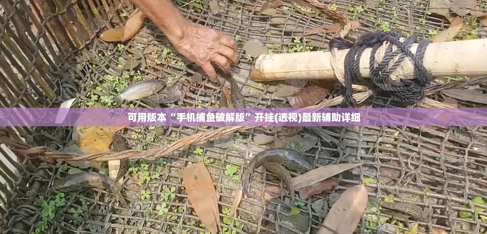 可用版本“手机捕鱼破解版”开挂(透视)最新辅助详细