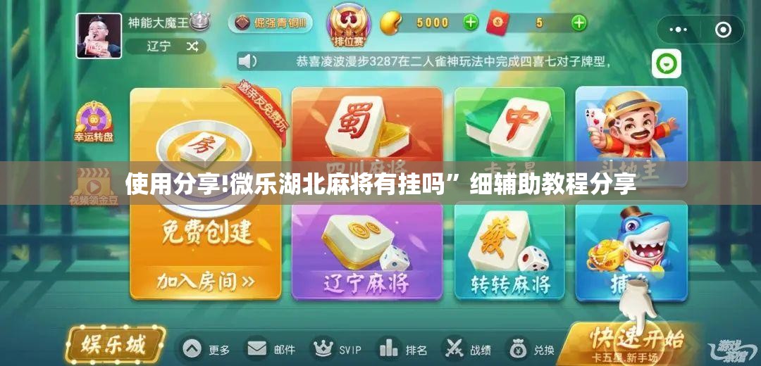 使用分享!微乐湖北麻将有挂吗”细辅助教程分享