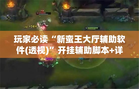 玩家必读“新蛮王大厅辅助软件(透视)”开挂辅助脚本+详细开挂安装教程
