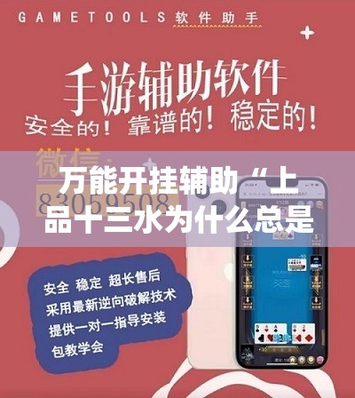 万能开挂辅助“上品十三水为什么总是输	”开挂(透视)最新辅助详细