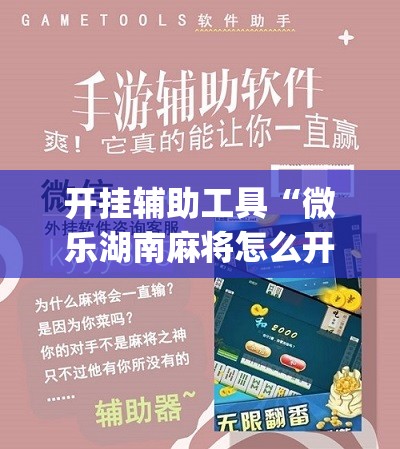开挂辅助工具“微乐湖南麻将怎么开免费的挂”(免费)开挂辅助教学(最新辅助开挂教程)