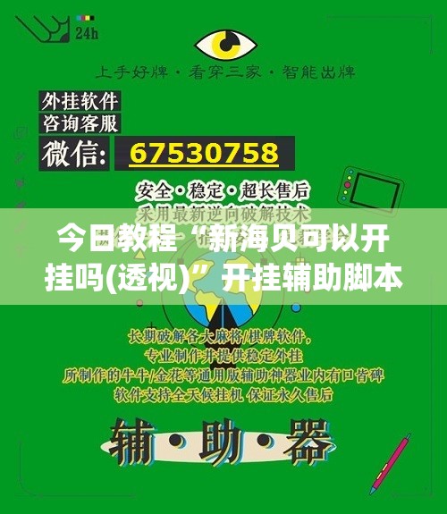 今日教程“新海贝可以开挂吗(透视)	”开挂辅助脚本+详细开挂安装教程