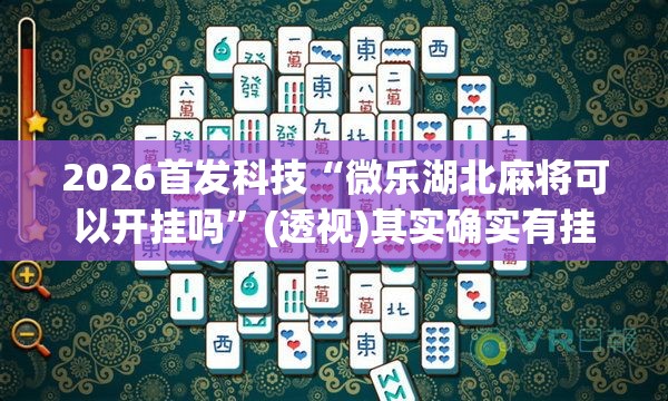 2026首发科技“微乐湖北麻将可以开挂吗”(透视)其实确实有挂