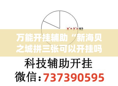 万能开挂辅助“新海贝之城拼三张可以开挂吗(透视)”开挂辅助脚本+详细开挂安装教程