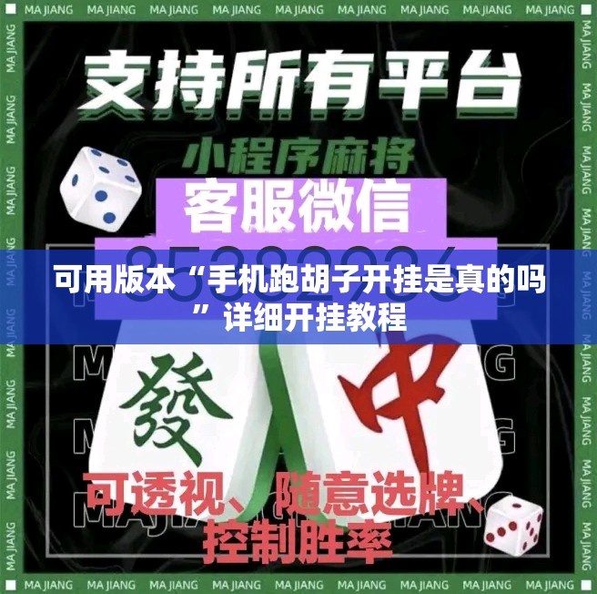 可用版本“手机跑胡子开挂是真的吗”详细开挂教程