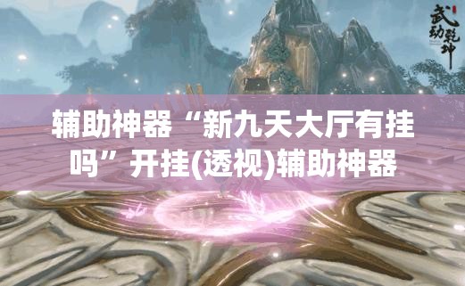 辅助神器“新九天大厅有挂吗”开挂(透视)辅助神器