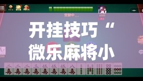 开挂技巧“微乐麻将小程序开挂神器下载”(免费)开挂辅助教学(最新辅助开挂教程)