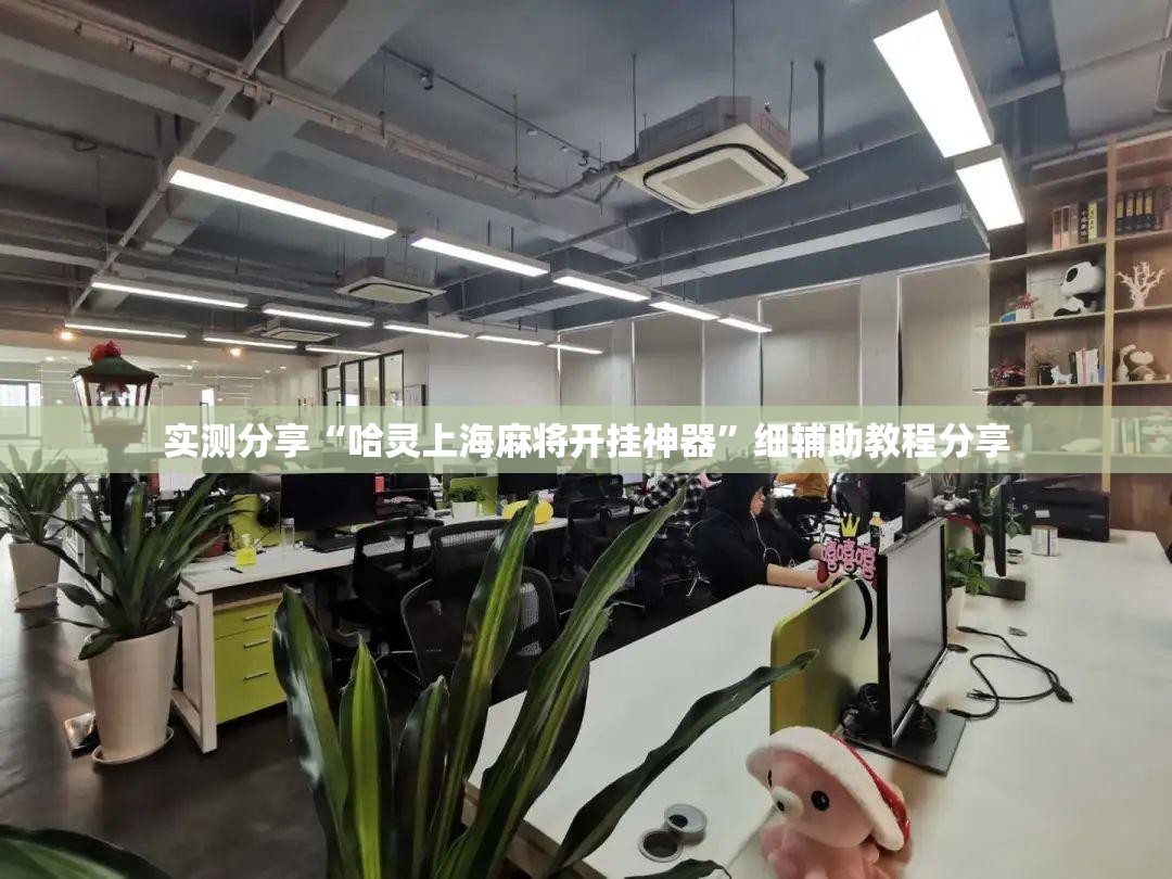 实测分享“哈灵上海麻将开挂神器	”细辅助教程分享
