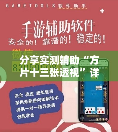 分享实测辅助“方片十三张透视”详细外挂透视辅助软件教程