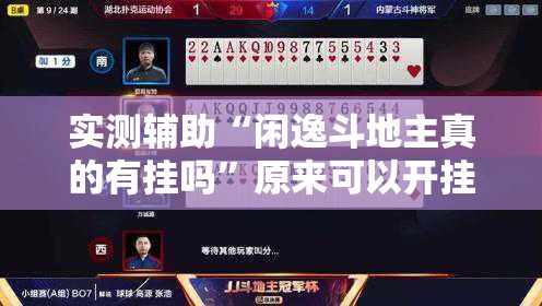 实测辅助“闲逸斗地主真的有挂吗”原来可以开挂