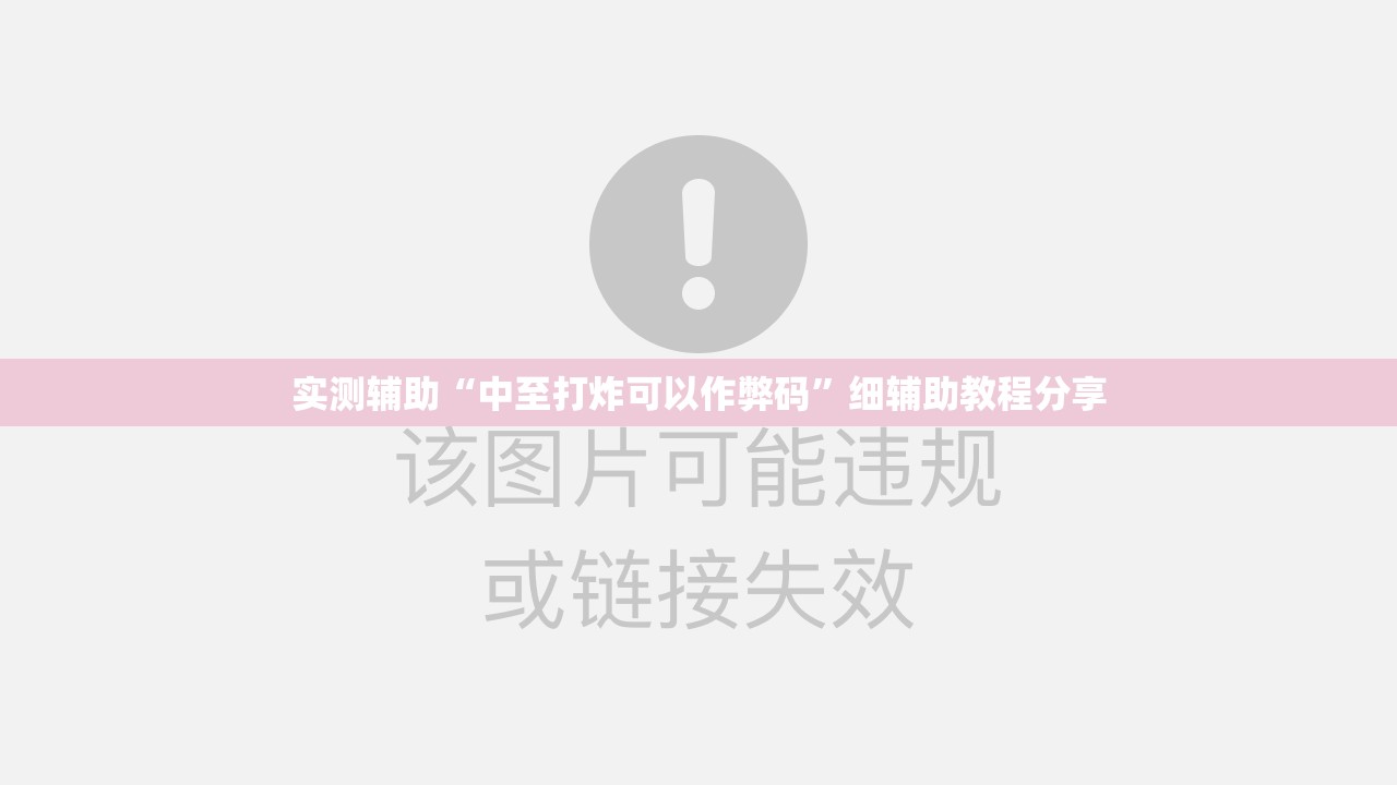 实测辅助“中至打炸可以作弊码”细辅助教程分享