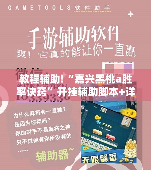 教程辅助!“嘉兴黑桃a胜率诀窍”开挂辅助脚本+详细开挂安装教程