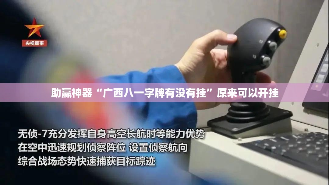助赢神器“广西八一字牌有没有挂”原来可以开挂