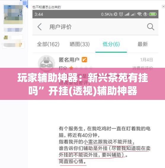 玩家辅助神器：新兴茶苑有挂吗”开挂(透视)辅助神器