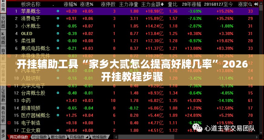 开挂辅助工具“家乡大贰怎么提高好牌几率	”2026开挂教程步骤