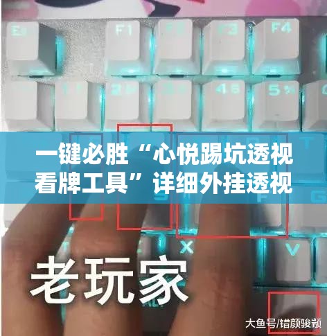 一键必胜“心悦踢坑透视看牌工具”详细外挂透视辅助软件教程