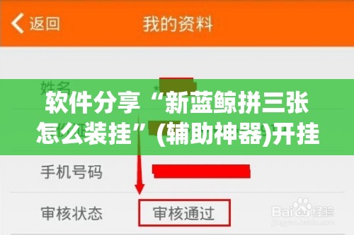 软件分享“新蓝鲸拼三张怎么装挂”(辅助神器)开挂详细教程