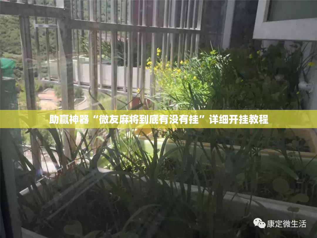 助赢神器“微友麻将到底有没有挂”详细开挂教程
