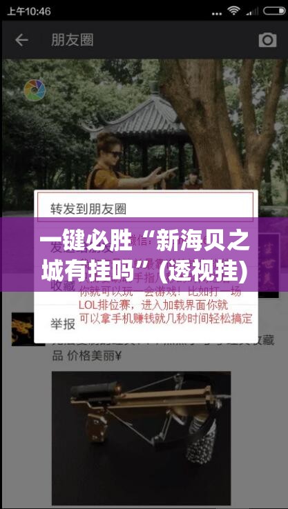 一键必胜“新海贝之城有挂吗”(透视挂)辅助下载教程