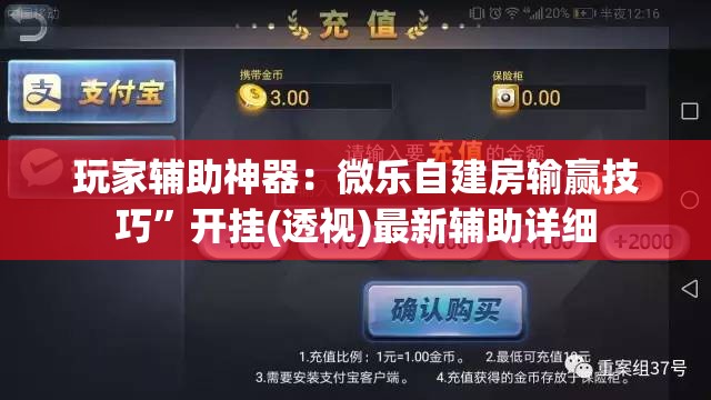 玩家辅助神器：微乐自建房输赢技巧”开挂(透视)最新辅助详细
