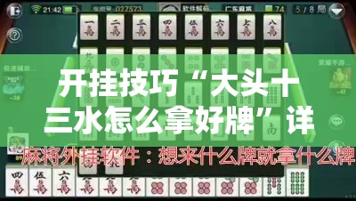 开挂技巧“大头十三水怎么拿好牌”详细外挂透视辅助软件教程