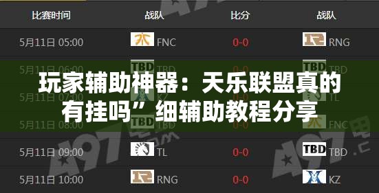 玩家辅助神器：天乐联盟真的有挂吗”细辅助教程分享