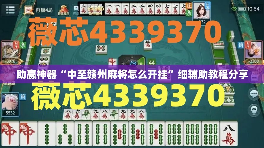 助赢神器“中至赣州麻将怎么开挂”细辅助教程分享