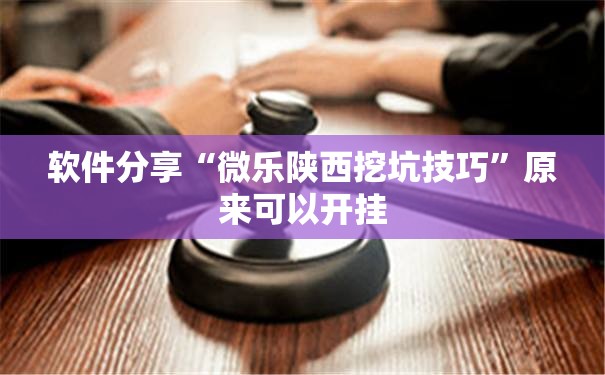 软件分享“微乐陕西挖坑技巧”原来可以开挂