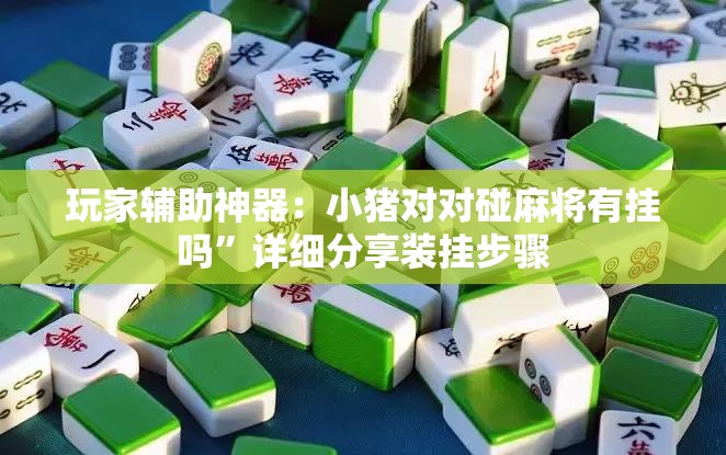 玩家辅助神器：小猪对对碰麻将有挂吗”详细分享装挂步骤