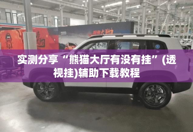 实测分享“熊猫大厅有没有挂”(透视挂)辅助下载教程