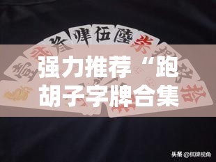 强力推荐“跑胡子字牌合集挂”详细开挂教程