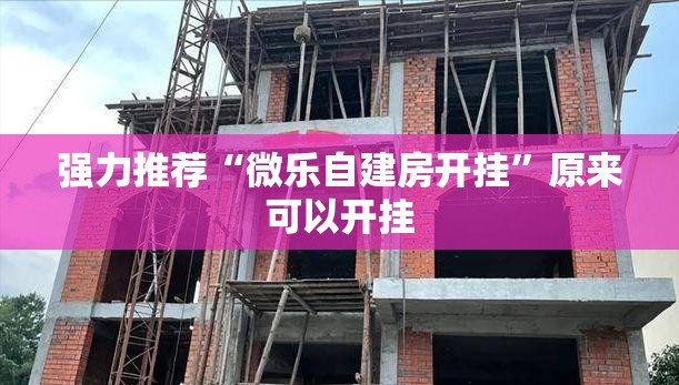 强力推荐“微乐自建房开挂”原来可以开挂