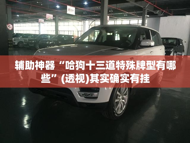 辅助神器“哈狗十三道特殊牌型有哪些	”(透视)其实确实有挂