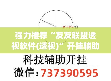 强力推荐“友友联盟透视软件(透视)	”开挂辅助脚本+详细开挂安装教程
