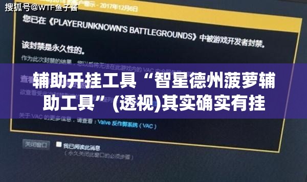 辅助开挂工具“智星德州菠萝辅助工具”(透视)其实确实有挂