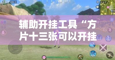 辅助开挂工具“方片十三张可以开挂吗”其实确实有挂