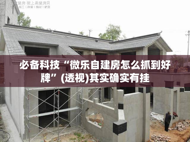 必备科技“微乐自建房怎么抓到好牌	”(透视)其实确实有挂