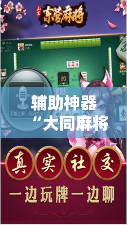 辅助神器“大同麻将记牌器免费版”详细分享装挂步骤