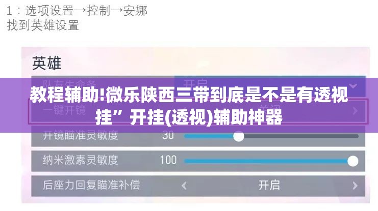 教程辅助!微乐陕西三带到底是不是有透视挂”开挂(透视)辅助神器