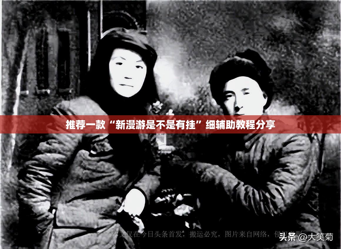 推荐一款“新漫游是不是有挂	”细辅助教程分享