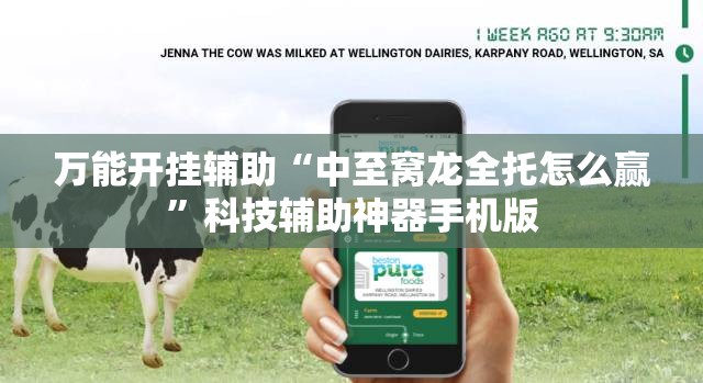 万能开挂辅助“中至窝龙全托怎么赢”科技辅助神器手机版