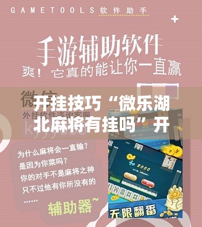 开挂技巧“微乐湖北麻将有挂吗	”开挂详细教程