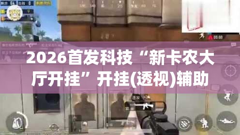 2026首发科技“新卡农大厅开挂	”开挂(透视)辅助神器