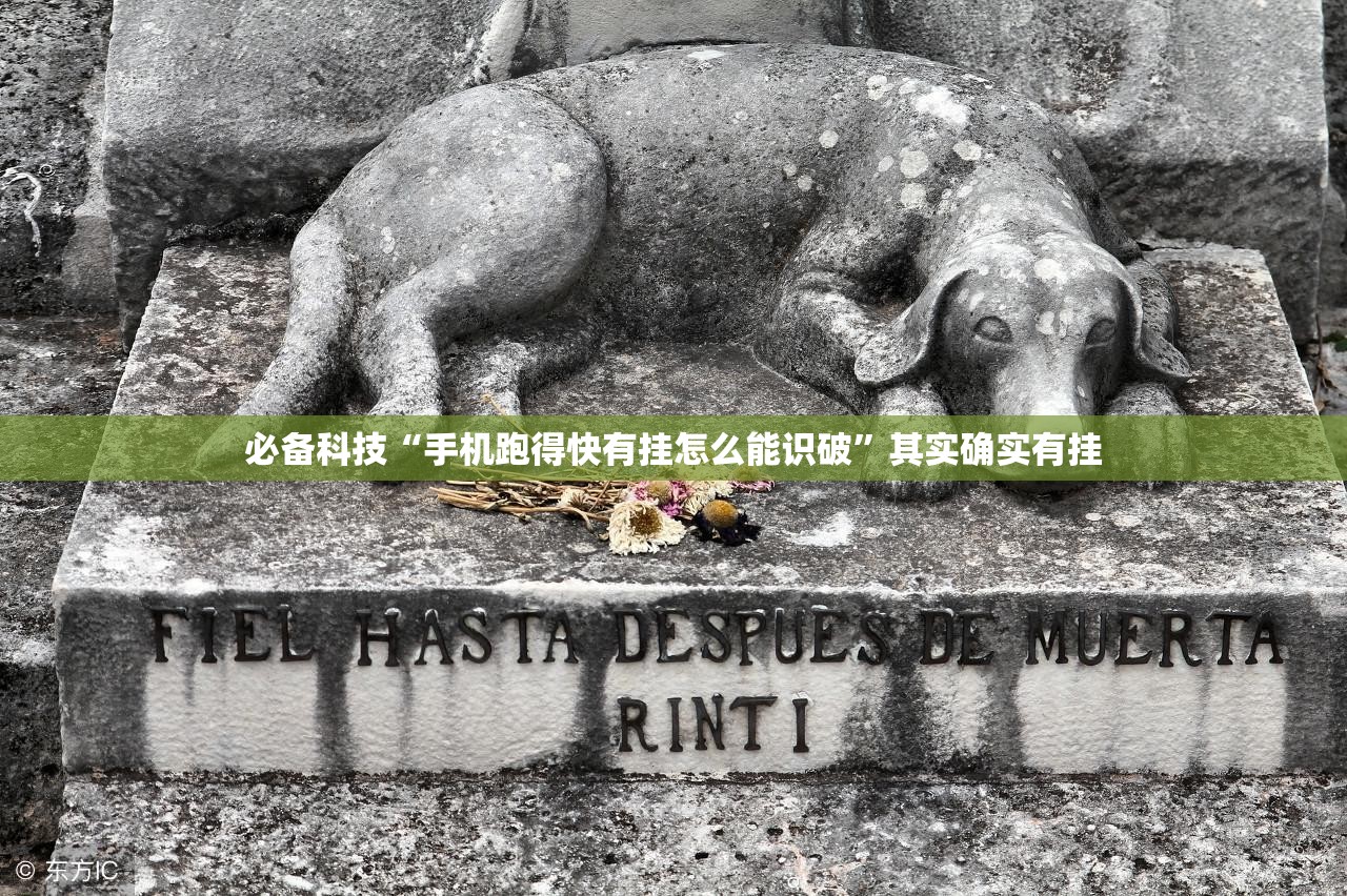 必备科技“手机跑得快有挂怎么能识破”其实确实有挂