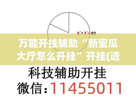 万能开挂辅助“新蜜瓜大厅怎么开挂”开挂(透视)辅助教程